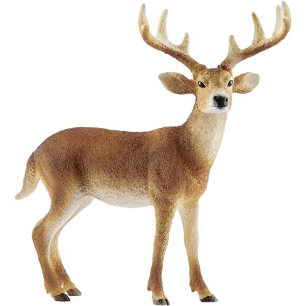 Schleich Wild Life – Hvidhalet Hjort (Buk) (14818)