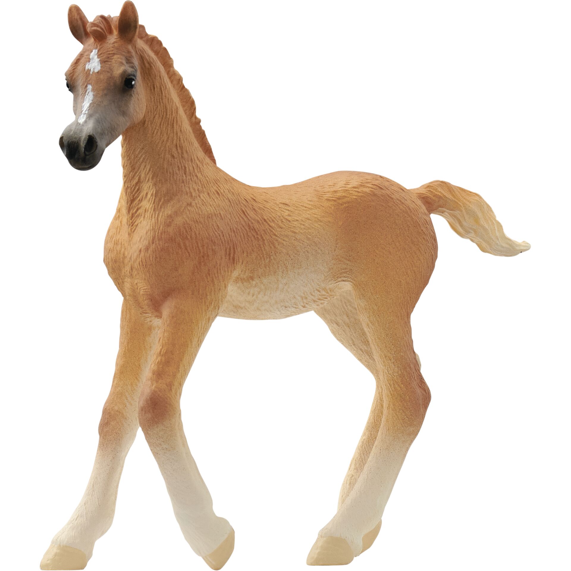 Schleich Horse Club – Araberføl (13984)